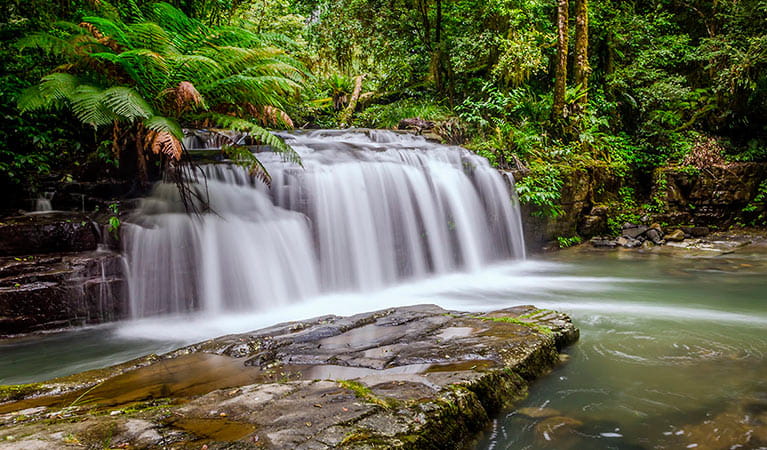 Barrington Tops National Park