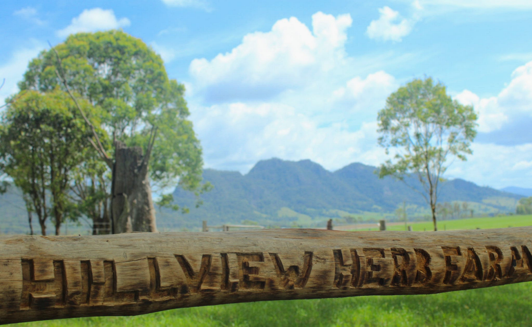 Hillview-Herb-Farm