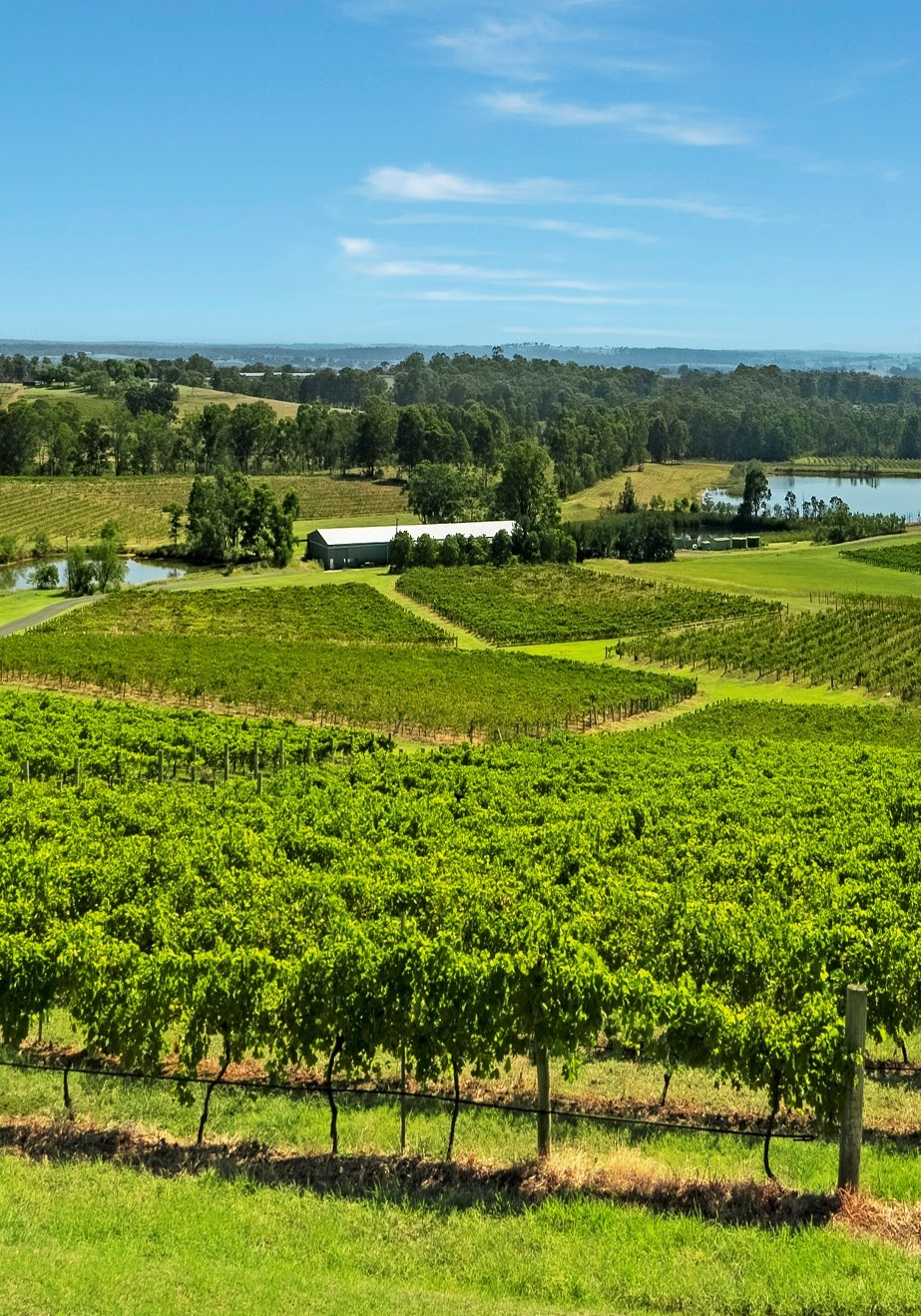 resizedhuntervalleyAccom-Pokolbin-30